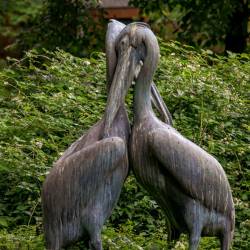 #583 · Pelikan Skulptur