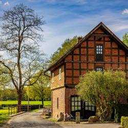 #226 · Regenbogenbrücke in Heede