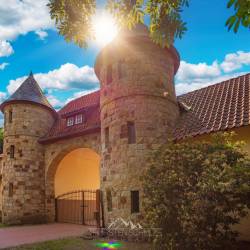 #364 · Rittergut in Falkenhardt