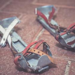 #1269 · Schumacher Werkstatt