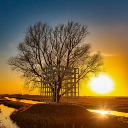 #729 · Steine der Weisen