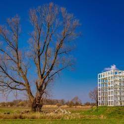 #347 · Steine der Weisen