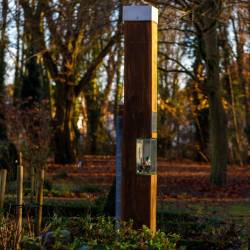 #761 · Stele im Abendlicht