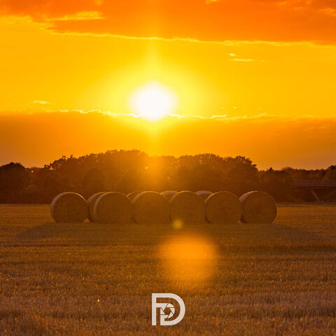 #2322 · Sundown
