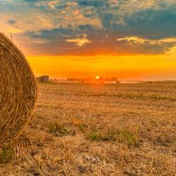 #1563 · Unser schönes Dümmer Weserland