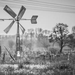 #352 · Windrad in den Huntebruchwiesen