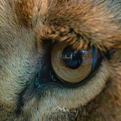 #1979 · Zoo Münster 2023