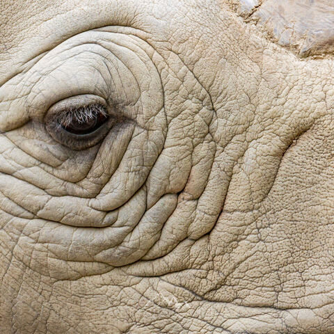 #1944 · Zoo Münster 2023