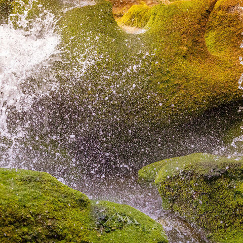 #1999 · Zoo Münster 2023