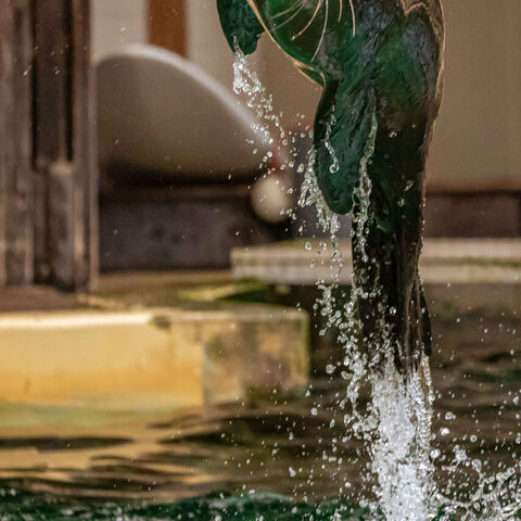 #1959 · Zoo Münster 2023