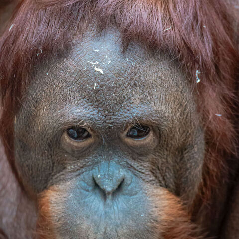 #1948 · Zoo Münster 2023