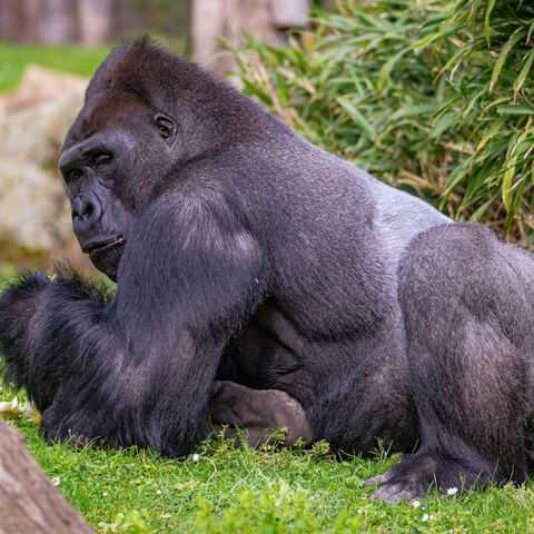 #1989 · Zoo Münster 2023