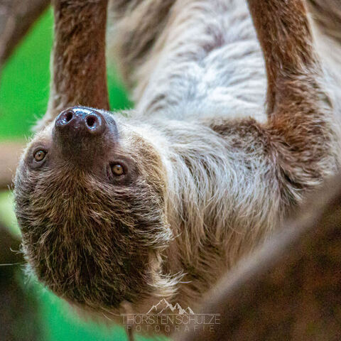 #1997 · Zoo Münster 2023