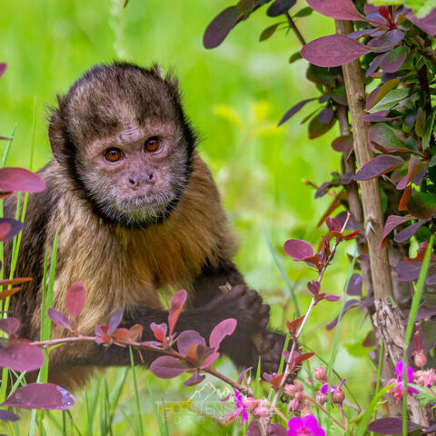 #1947 · Zoo Münster 2023