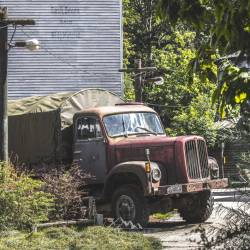 #487 · Zoolandschaft