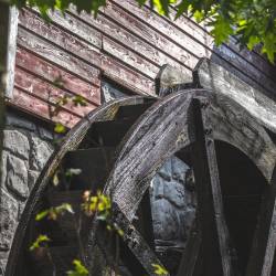 #490 · Zoolandschaft