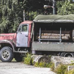 #486 · Zoolandschaft