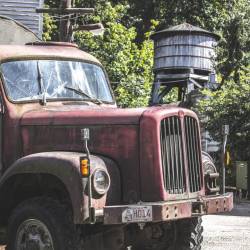 #488 · Zoolandschaft