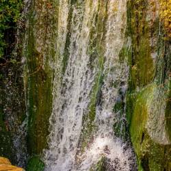 #492 · Zoolandschaft