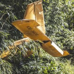 #485 · Zoolandschaft