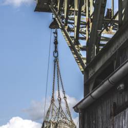 #489 · Zoolandschaft