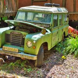 #678 · Zoolandschaft