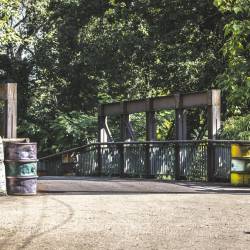 #483 · Zoolanschaft